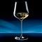 白葡萄酒杯
